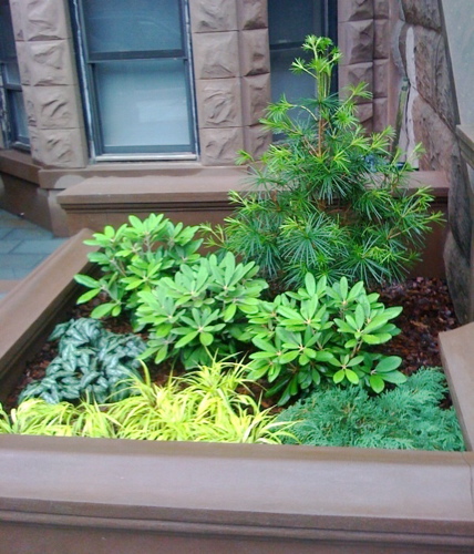 brooklyn_evergreens_brownstone