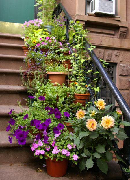 stoop-to-conquer stoop-to-conquer