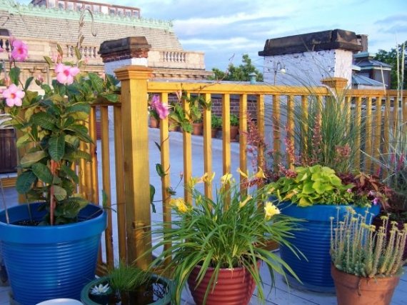 wm_roofgarden_5