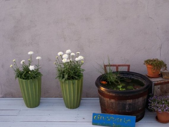 wm_roofgarden_watergarden3