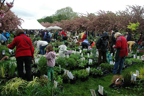 brooklyn-botanic-garden-plant-sale