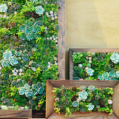 wall planter trellis Advwin Metal Planter Box w/ Trellis Privacy Screen